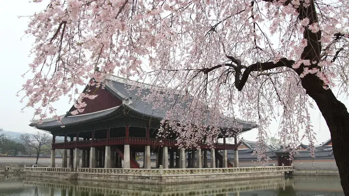 Korea Selatan/KIMDAEJEUNG Pixabay