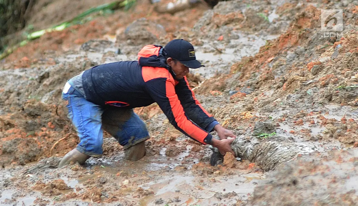 Warga menyelamatkan seekor kambing yang tertimbun longsor di Dusun Cimapag, Desa Sirnaresmi, Kecamatan Cisolok, Sukabumi, Selasa (1/1). Longsor menerjang Dusun Cimapag pada 31 Desember 2018. (Merdeka.com/Arie Basuki)