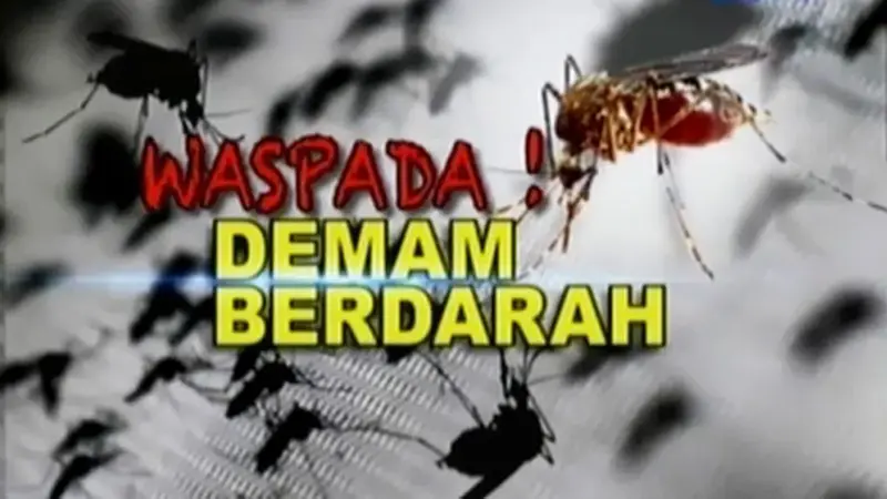 Demam-Berdarah