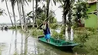 Banjir merendam puluhan hektare sawah siap panen di Purworejo. 