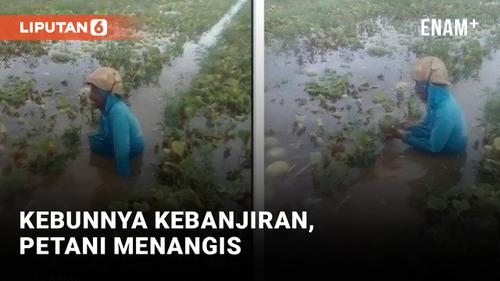 VIDEO: Pilu! Petani Menangis Karena Kebun Miliknya Terendam Banjir
