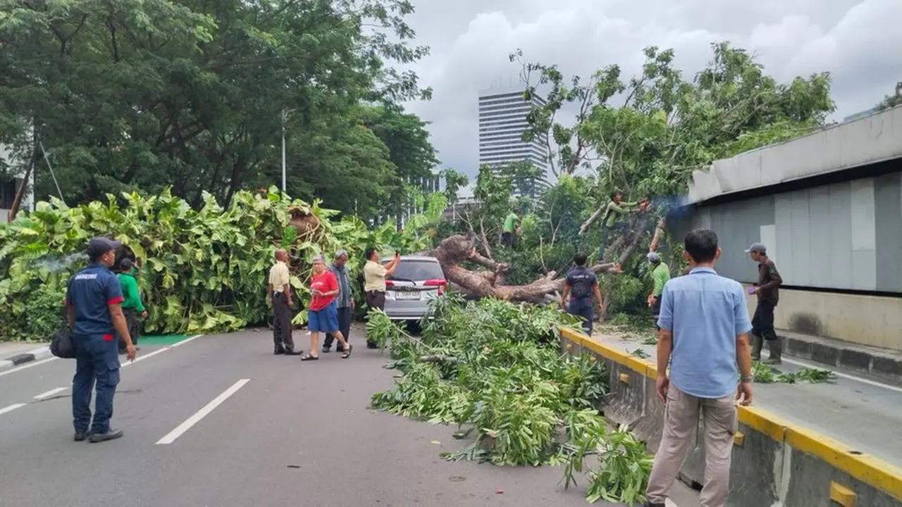 Pohon tumbang di sekitar Halte Masjid Agung, Jakarta Selatan.