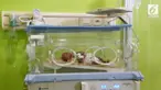 
Dokter yang memeriksa belum tahu penyakit yang sebabkan kulit bayi ini seperti terbakat saat baru dilahirkan.
