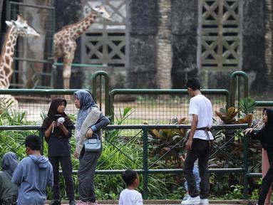 Pengunjung saat menikmati suasana Taman Margasatwa Ragunan, Jakarta, Jumat (5/8/2025). (Kapanlagi.com/Budy Santoso)