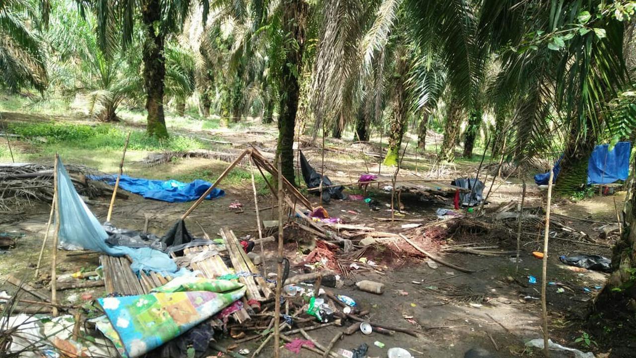Pondok Orang Rimba Hancur