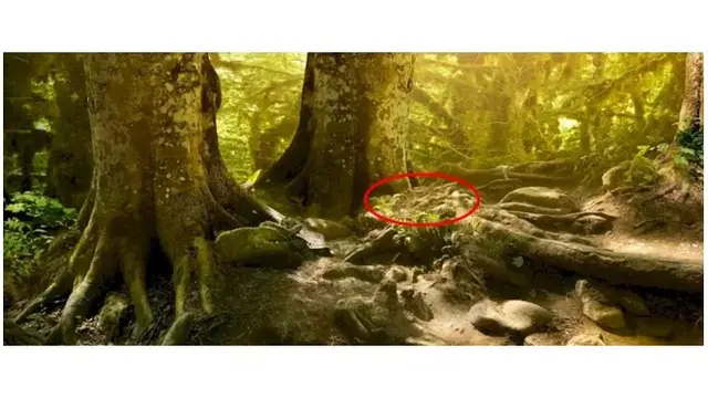 Tes Kejelian Matamu dengan Temukan Ular Pada Gambar Ini, Butuh Konsentrasi