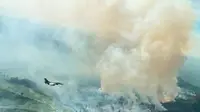 Kepulan asap tebal hasil kebakaran lahan yang terpantau oleh pesawat tempur dari Lanud Roesmin Nurjadin Pekanbaru. (Liputan6.com/Istimewa)