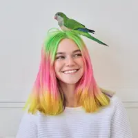 Seorang perempuan dengan rambut warna-warni (Foto Dok: Freepik/vh-studio).