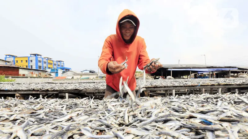 FOTO: Produksi Olahan Ikan Asin Menurun