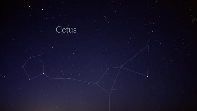 Cetus Zodiac Sign
