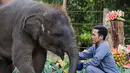 Diperingati kali pertama pada 12 Agustus 2012, Hari Gajah Sedunia ditujukan untuk menarik perhatian dunia terhadap kondisi darurat gajah di Asia dan Afrika. (AP Photo/Firdia Lisnawati)