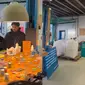 Kedai Kopi di Denmark Bisa Jadi Tempat Daur Ulang Sampah (Tangkapan Layar Instagram/pandawaragroup)
