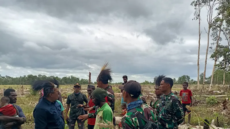 Kembangkan Food Estate, Pemerintah Akan Cetak Satu Juta Hektar Sawah Untuk Tanaman Padi