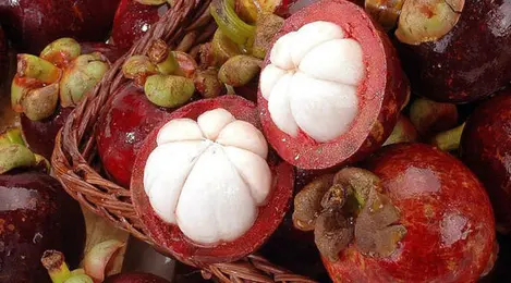 Kulit Manggis Obat Herbal Untuk Penderita Batuk Tbc Beauty Fimela Com