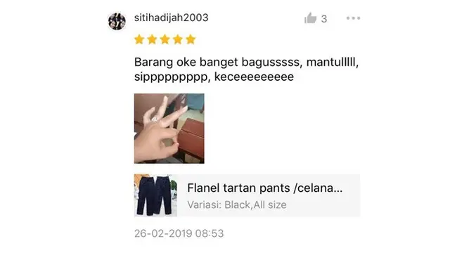 Ulasan kocak (Sumber: Twitter/@howleyshit)