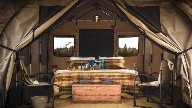 Liburan seru di New Zealand