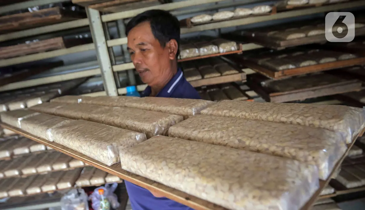 Staf Khusus Menteri Keuangan bidang Komunikasi Strategis Yustinus Prastowo menjelaskan bahwa tarif pajak PPh 0,5 persen tetap berlaku bagi wajib pajak dengan peredaran bruto (omzet) tidak melebihi Rp 4,8 miliar setahun. (Liputan6.com/Angga Yuniar)