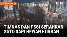 MENANG LAWAN CHINA, TIMNAS DAN PSSI RAYAKAN DENGAN KURBAN SAPI KE MASJID AL BINA SENAYAN