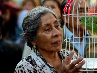 Seorang wanita paruh baya membawa burungnya untuk diberkati di Gereja San Pablo Ermitano, Mexico City, Meksiko (22/1). Pemberkatan hewan ini selalu digelar setiap tahunnya. (AFP Photo/Ronaldo Schemidt)