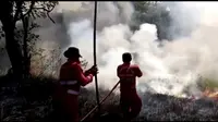 Tugas terberat para penantang maut di Taman Nasional Bombana bukanlah api, tapi warga yang belum sadar akan bahaya api di dalam taman nasional. (Liputan6.com/Ahmad Akbar Fua)