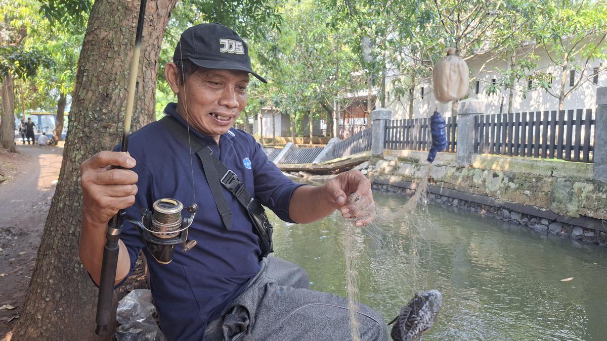 Cerita Marno Lihat Ikan Sapu-Sapu di Setu Babakan Berkurang Drastis usai Diburu Besar-besaran