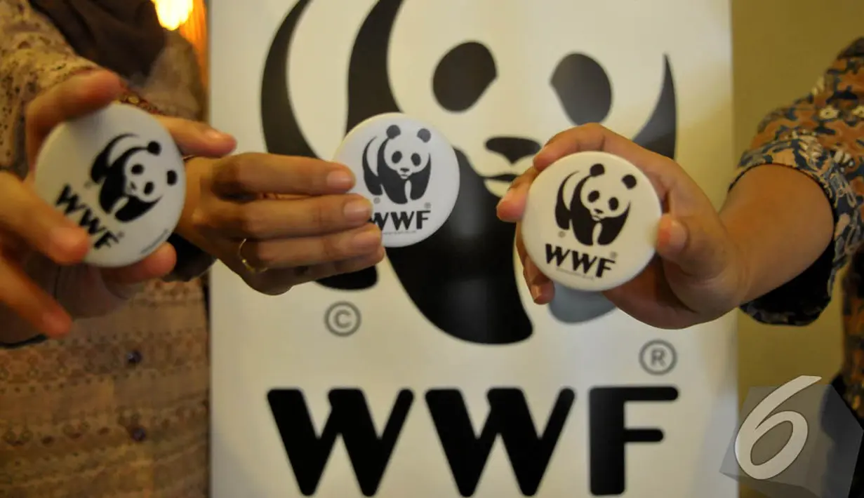 Anggota WWF Indonesia memperlihatkan pin yang bergambar panda.  Panda adalah logo dari WWF, Jakarta, Jumat (29/8) (Liputan6.com/Johan Tallo)