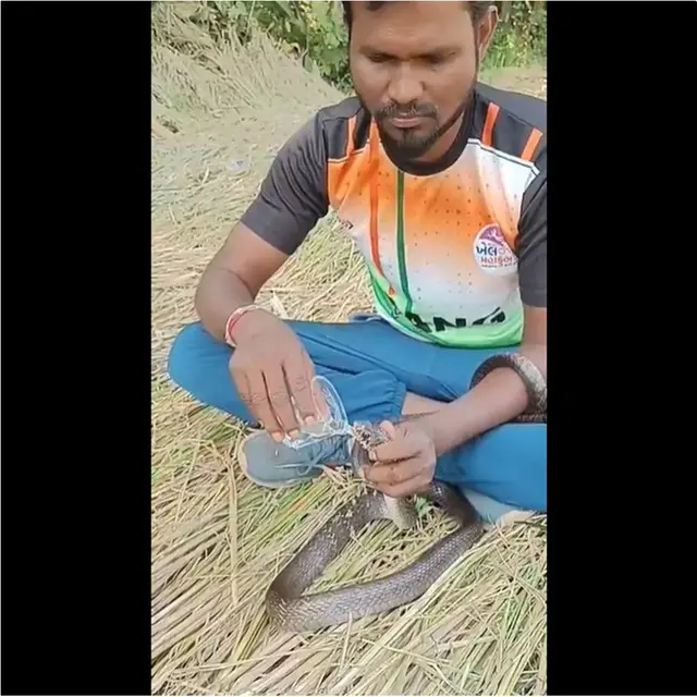 Viral Aksi Heroik Pria Lakukan CPR untuk Selamatkan Ular Kesetrum, Banjir Pujian