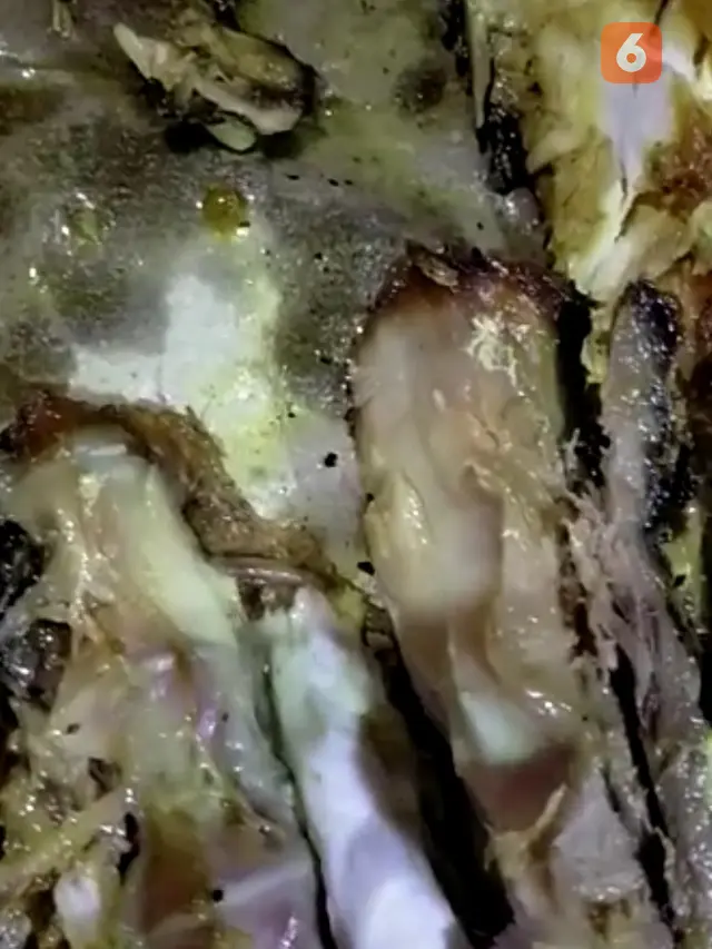 Makanan dipenuhi belatung