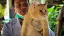 Vaksinasi massal yang digelar Suku Dinas Kelautan dan Perikanan Kota Administrasi Jakarta Selatan ini diperuntukkan terhadap hewan penular rabies, seperti anjing, kucing dan kera, (3/9/14). (Liputan6.com/Faizal Fanani)
