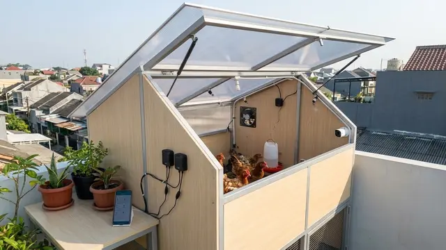 Kandang Ayam di Rooftop Rumah