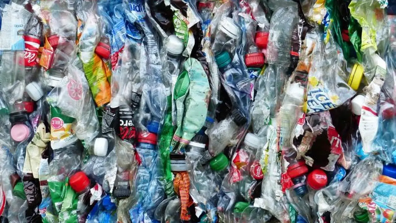 Langkah Nyata di Hari Lingkungan Hidup, Inovasi dalam Mewujudkan Pengelolaan Sampah Berkelanjutan