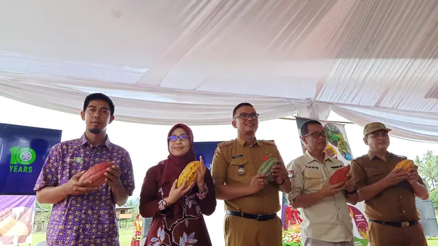 Sabun Cuci Piring dari Kulit Buah Cokelat
