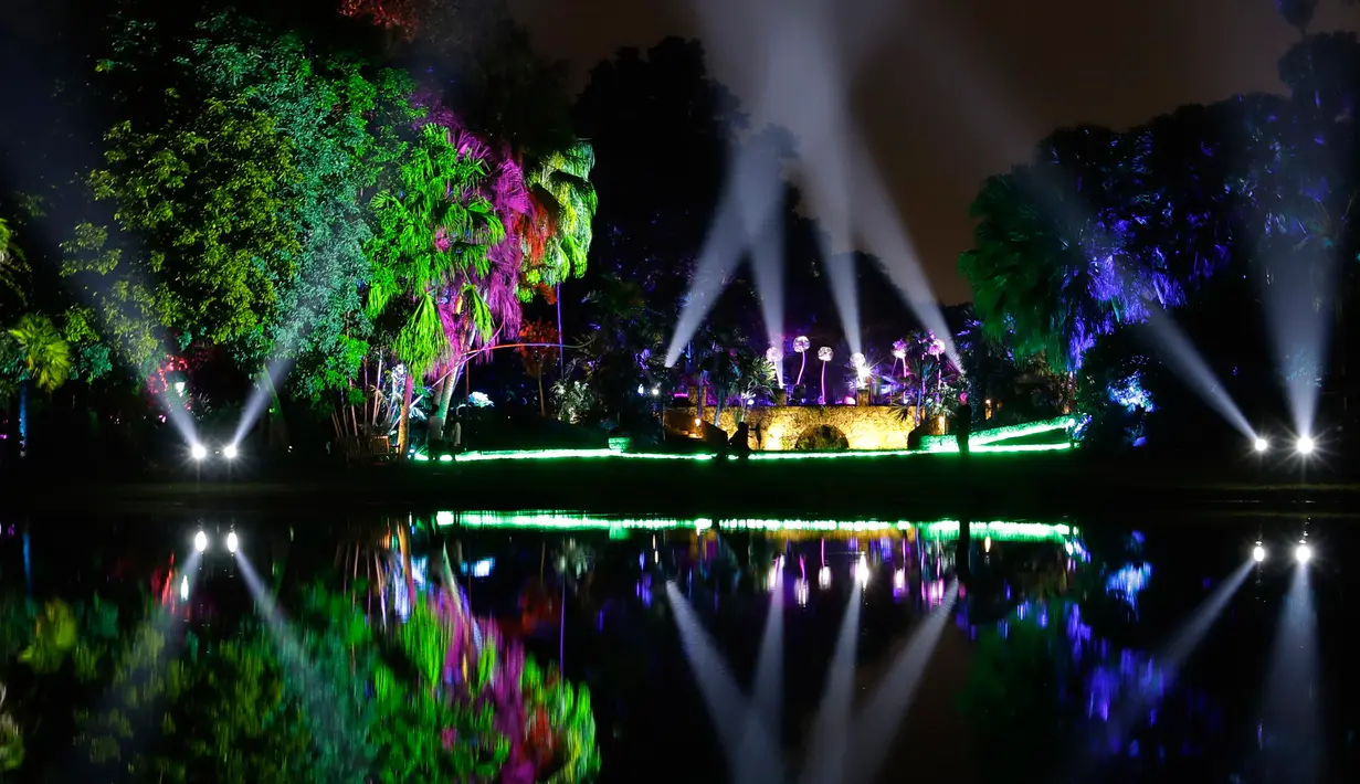 Sinar cahaya pohon menerangi  NightGarden di Fairchild Tropical Botanic Garden, Miami, AS, Kamis (29/11). Acara ini menampilkan display lampu, hologram, pemetaan proyeksi 3D, video dan musik. (AP Photo/Lynne Sladky)