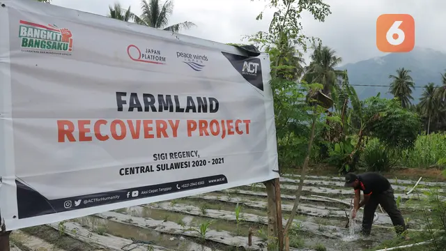 Lahan pertanian yang mendapat bantuan sumur dari ACT Sulteng
