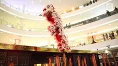 Pemain barongsai unjuk kebolehan di hadapan pengunjung Senayan City, Jakarta, Kamis (8/2). Atraksi barongsai yang telah beberapa kali memenangi kejuaraan internasional ini dalam rangka menyambut Tahun Baru Imlek 2569/2018. (Liputan6.com/Immanuel Antonius)