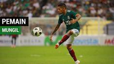 Dalam sebuah tim, ada beberapa pemainnya yang memiliki postur tubuh di bawah rata-rata. Mereka ini berpostur mungil dan akan menghiasi Piala Dunia 2018. Siapa saja mereka?