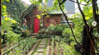 Restoran di Jakarta Masak Makanan dari Hasil Kebun Sendiri. (dok.Instagram @mandkirasgarden/https://www.instagram.com/p/CLygb7TgE6y/Henry)