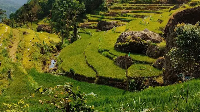 Rekomendasi Tempat Makan Hidden Gem di Jogja