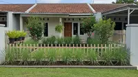 7 Tanaman yang Bisa Ditaruh Dekat Jendela agar Lalat Tidak Betah di Rumah