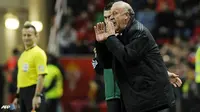 Del Bosque: Spanyol ke Prancis untuk Menang