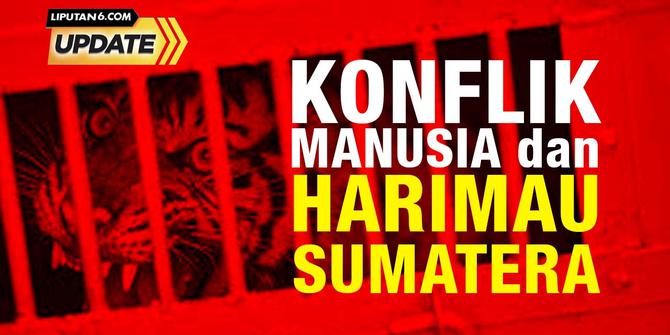 Konflik Manusia dan Harimau di Riau