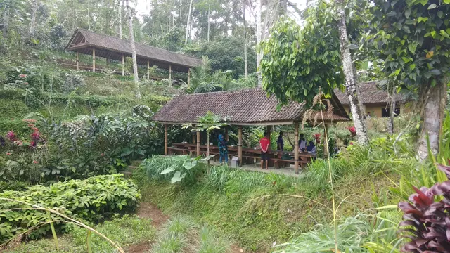Kopi Bali