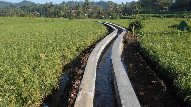 Kementan Rehabilitasi Jaringan Irigasi Tersier Seluas 135 Ribu Ha Di 32 Provinsi Tahun Ini Bisnis Liputan6 Com