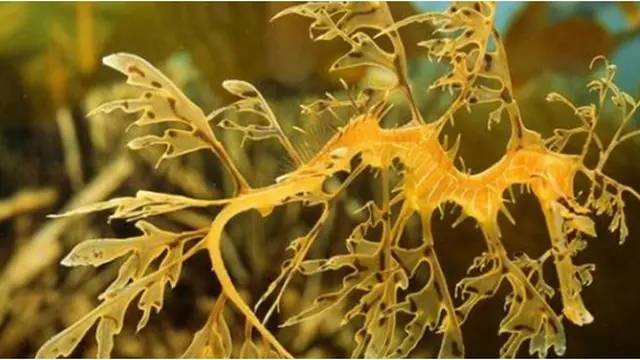 Courtesy Listverse.com/Simon Griffin