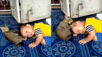 Viral, Video Bocah Menangis Histeris Diserang Kucing Saat Bermain