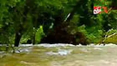 Sekitar 16 orang dikabarkan tewas akibat banjir bandang yang menghantam sebuah kawasan perkemahan di taman nasional Negara Bagian Arkansas, AS. 