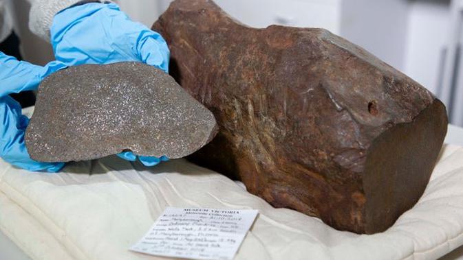 Seorang pria Australia menyimpan sebuah batu besar yang dikiranya emas selama 2 tahun, tetapi ternyata itu adalah pecahan meteor. (Museum Victoria)