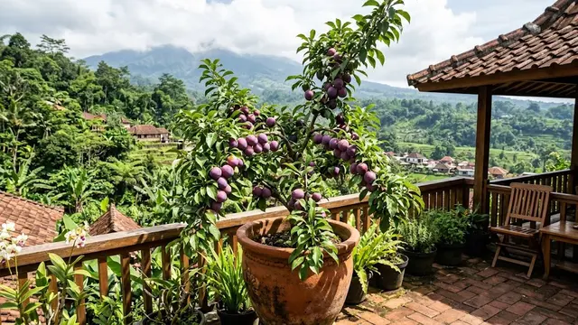 Tanaman Buah yang Bisa Tumbuh di Pot (AI Generated)