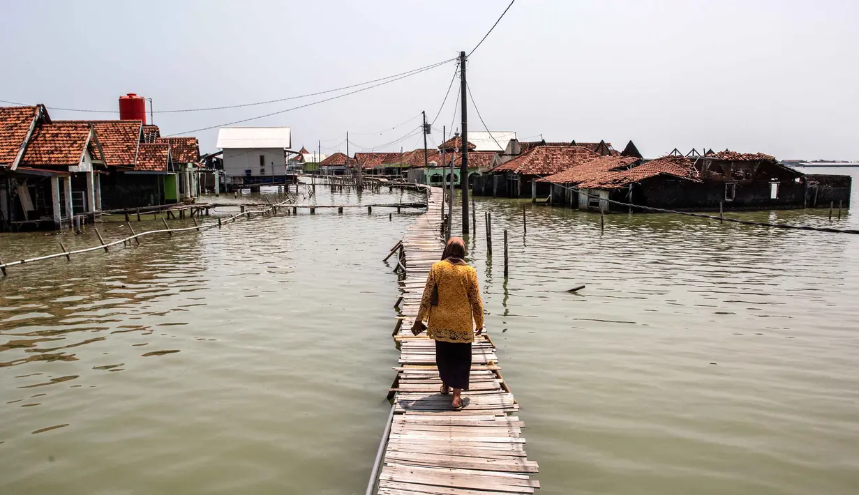 Sementara, warga yang bertahan beradaptasi dengan meninggikan rumah, membangun jembatan kayu secara swadaya, atau mendirikan rumah apung. Tampak dalam foto, seorang wanita berjalan melintasi jembatan melewati rumah-rumah yang sebagian terendam air laut akibat banjir pasang di desa Timbulsloko, Demak, Jawa Tengah pada Sabtu 18 April 2026. (DEVI RAHMAN/AFP)