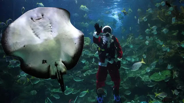 Aquaria KLCC